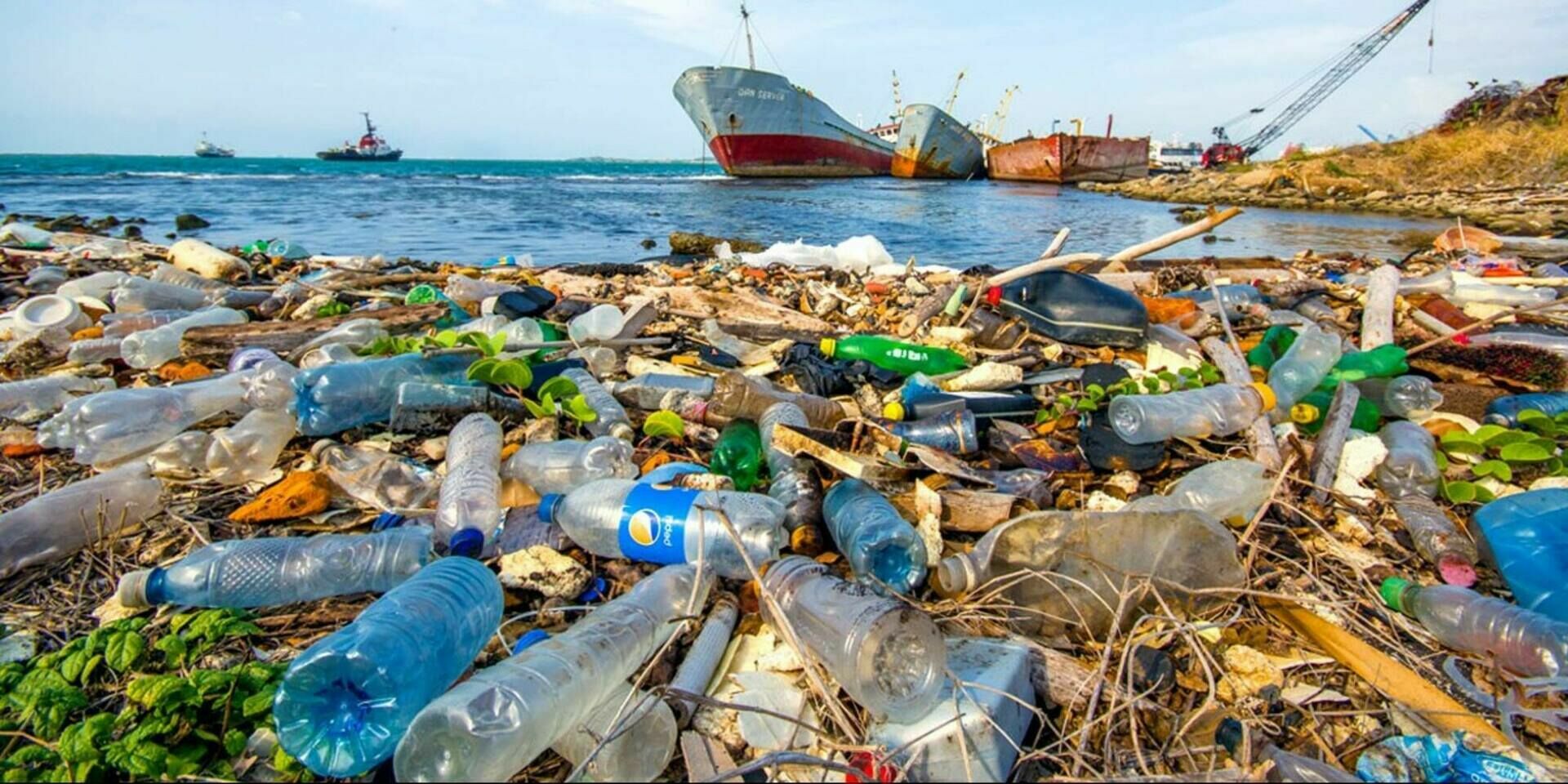Апокалипсис уже сегодня: мы проигрываем войну пластику