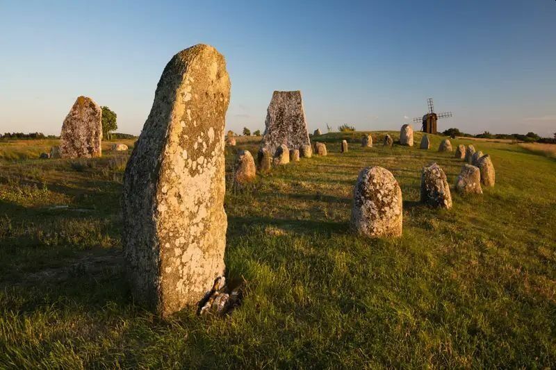 Погребение викингов на острове Эланд. Лежащие здесь тоже болели оспой, но в куда более легкой форме.