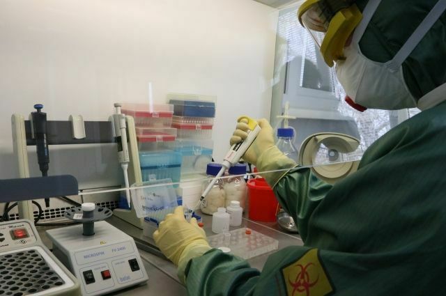 Во Франции выявили новый штамм коронавируса