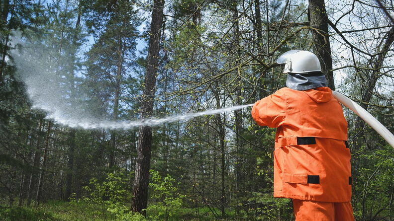 В РФ за минувшие сутки ликвидировано 36 природных пожаров