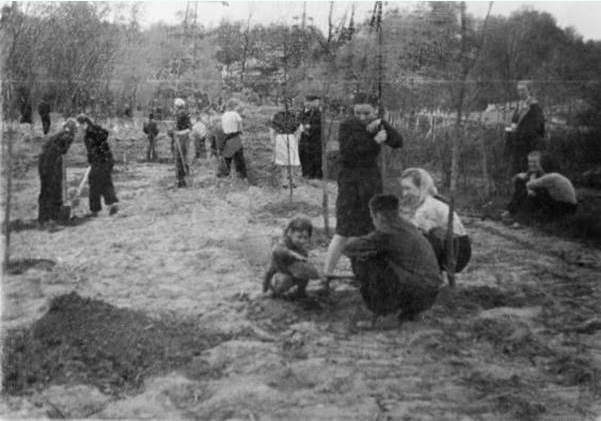 Посадка яблоневого сада вдоль Кутузовского проспекта в 1957 году.