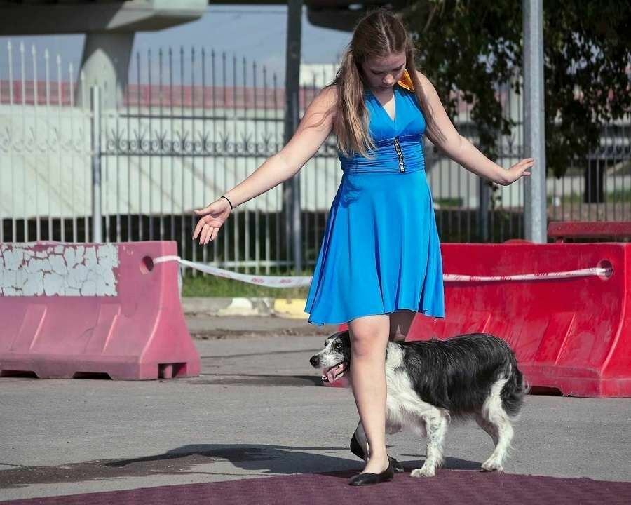 Ростов принял чемпионат по танцам женщин с собаками