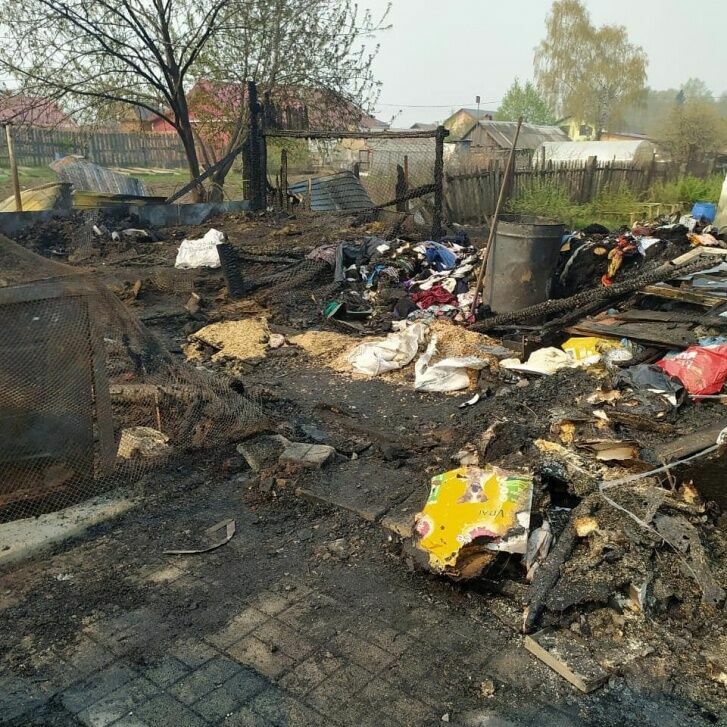 Под Екатеринбургом сгорел приют для животных: погибли 30 собак