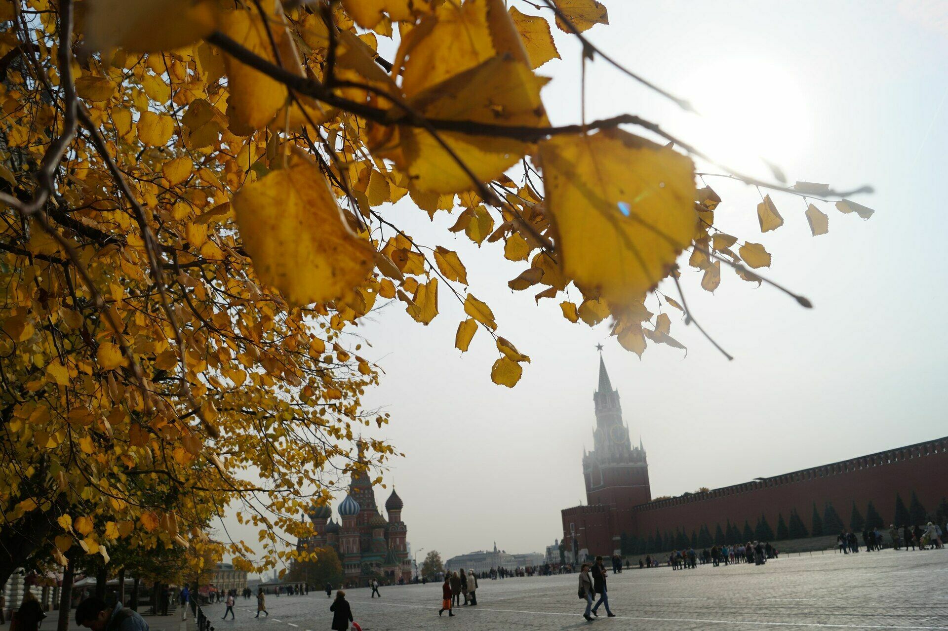 События осени москва. Осень в Москве. Ноябрь в городе. Москва осенью. Москва в ноябре.