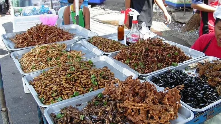 Рынок насекомых в Азии