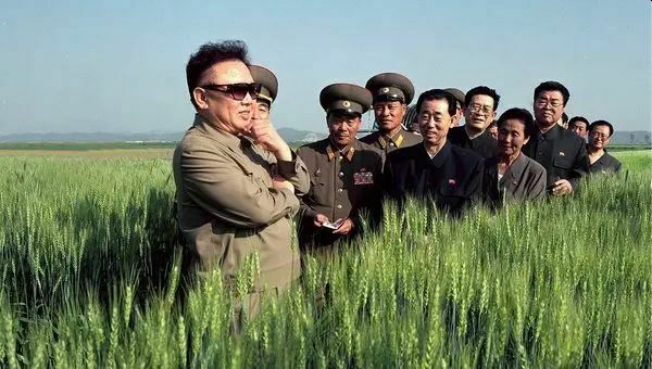 В годовщину смерти Ким Чен Ира в Северной Корее на 11 дней запретили смех и алкоголь