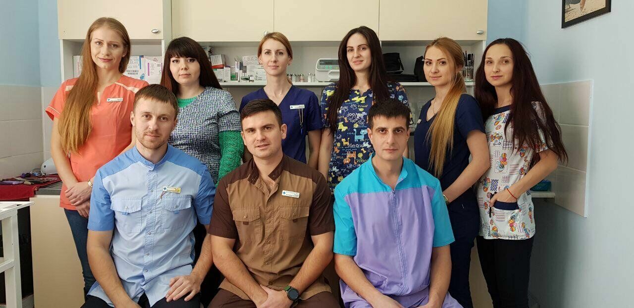 Коллектив ветеринарной клиник "Друг", г.Геленджик, на базе которой с апреля 2016 года работает первый в России центр социальной ветеринарии