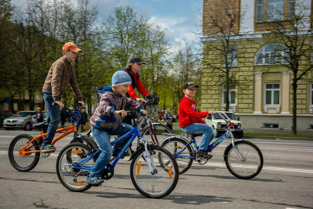 В Госдуме предложили учить ПДД в школе и выдавать детям права на велосипед