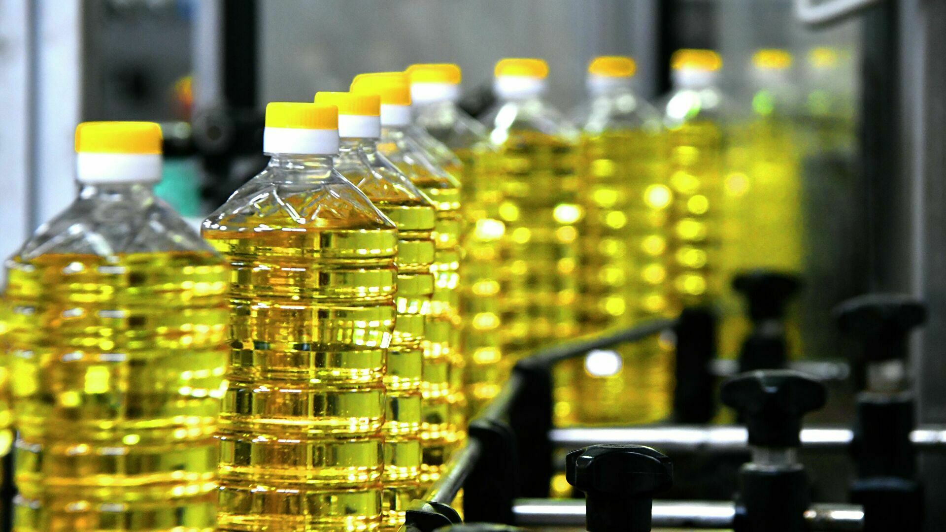 Правительство перечислит 9 млрд рублей производителям масла и сахара