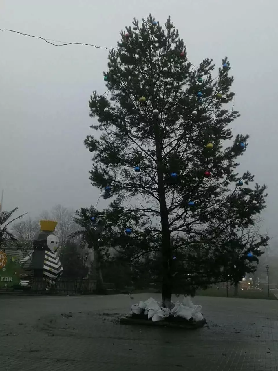 В Ростове нашли самую депрессивную новогоднюю елку.