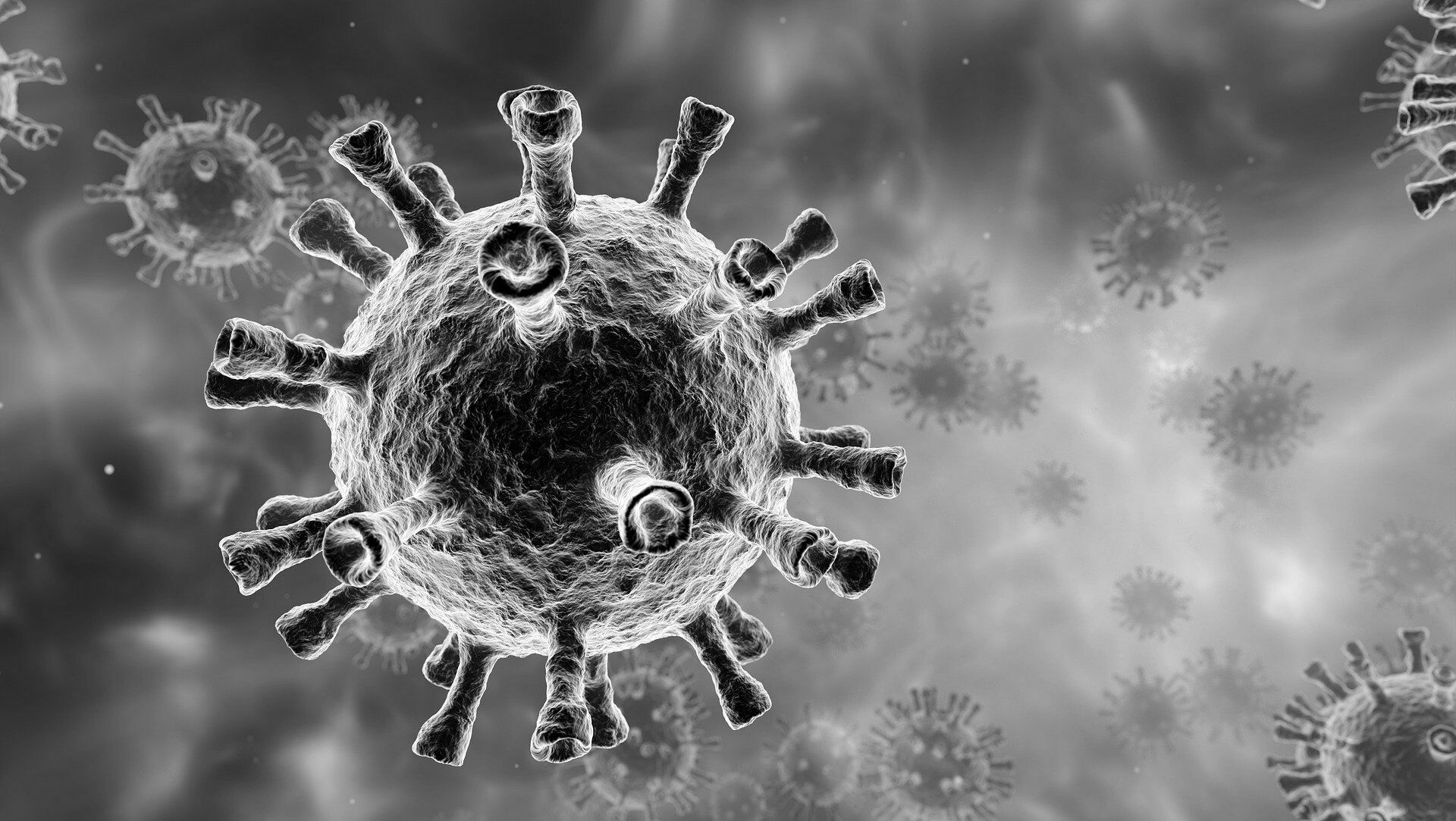 В России почти исчез штамм коронавируса «Дельта»