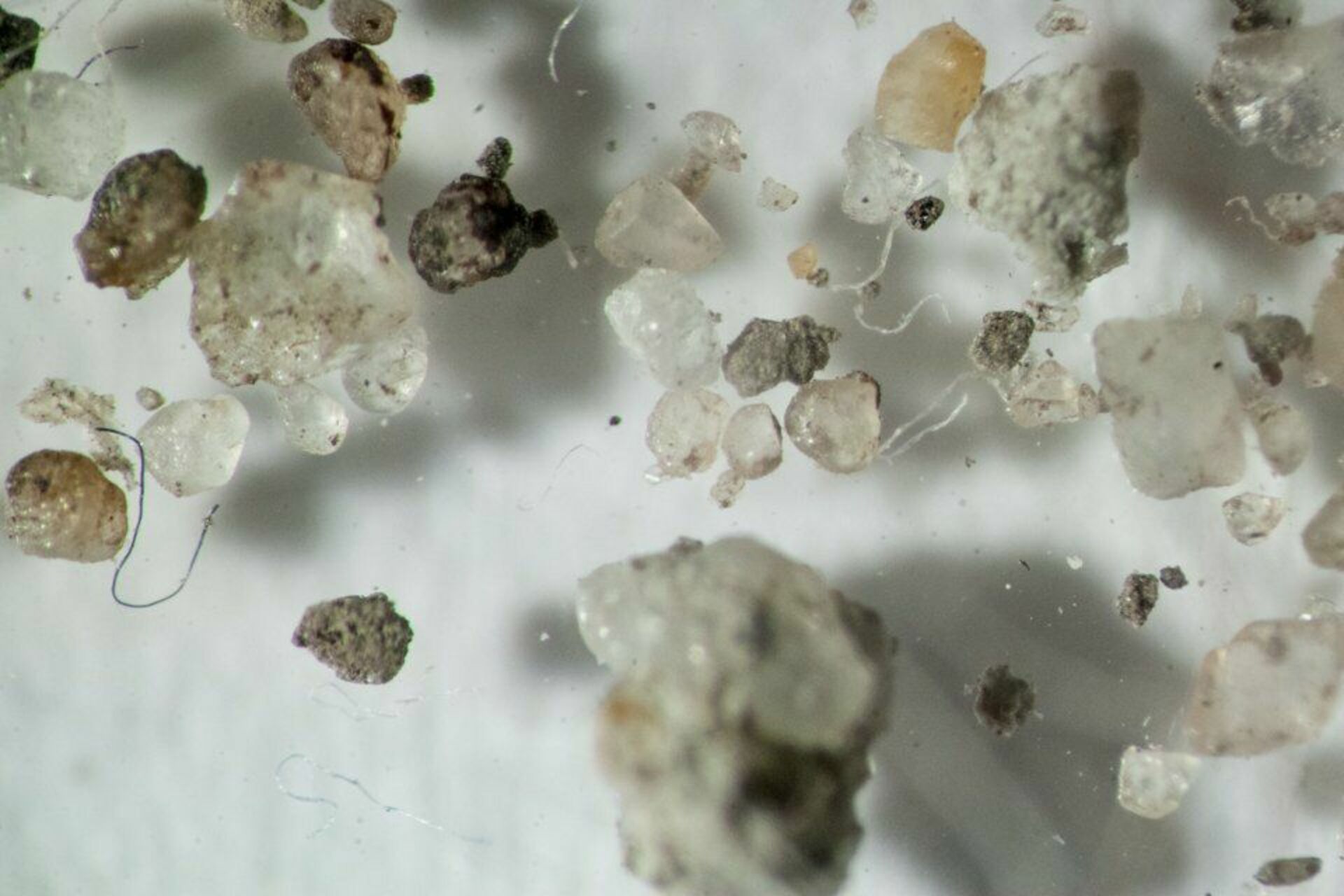 Б г пыль. Домашняя пыль под микроскопом. Частички пыли под микроскопом. Мусор под микроскопом. Пыль увеличенная под микроскопом.