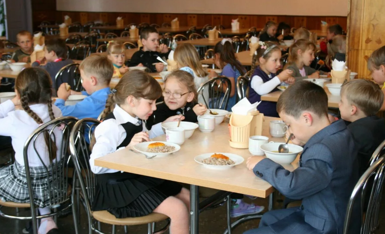 Госдума приняла закон о бесплатном питании в младших классах