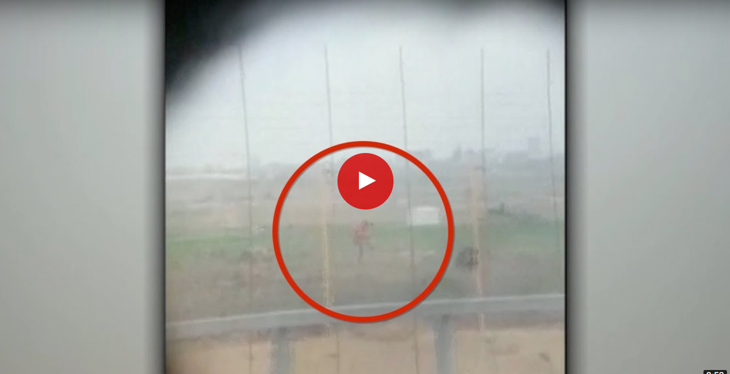 Видео дня:  расстрел израильским снайпером безоружного палестинца