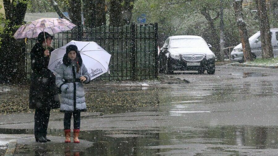 Синоптики спрогнозировали заморозки и снег в Москве 31 октября