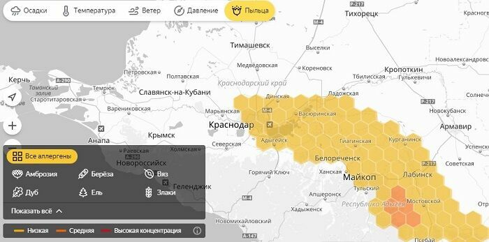 На "Яндекс.Погода" появится сервис для аллергиков