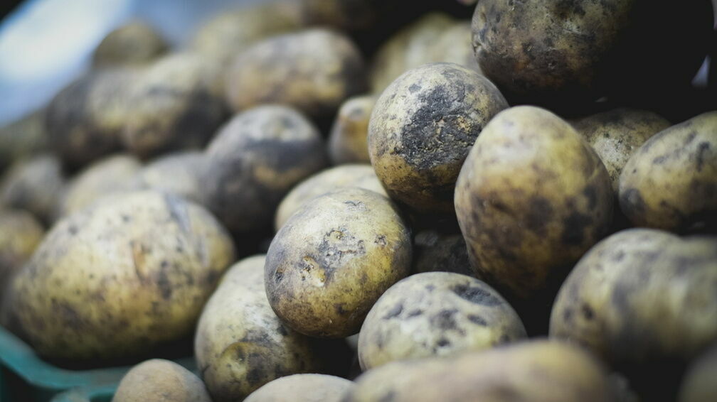 В Минсельхозе заявили, что рынок полностью обеспечен картофелем