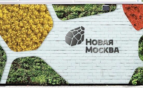 Тина Канделаки представила логотип Новой Москвы за 15 млн рублей