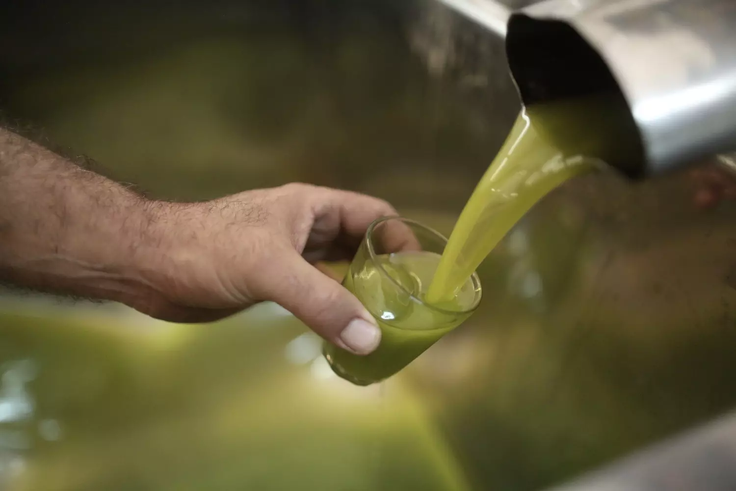Употребление оливкового масла в больших объемах попросту аннулирует его предполагаемую пользу