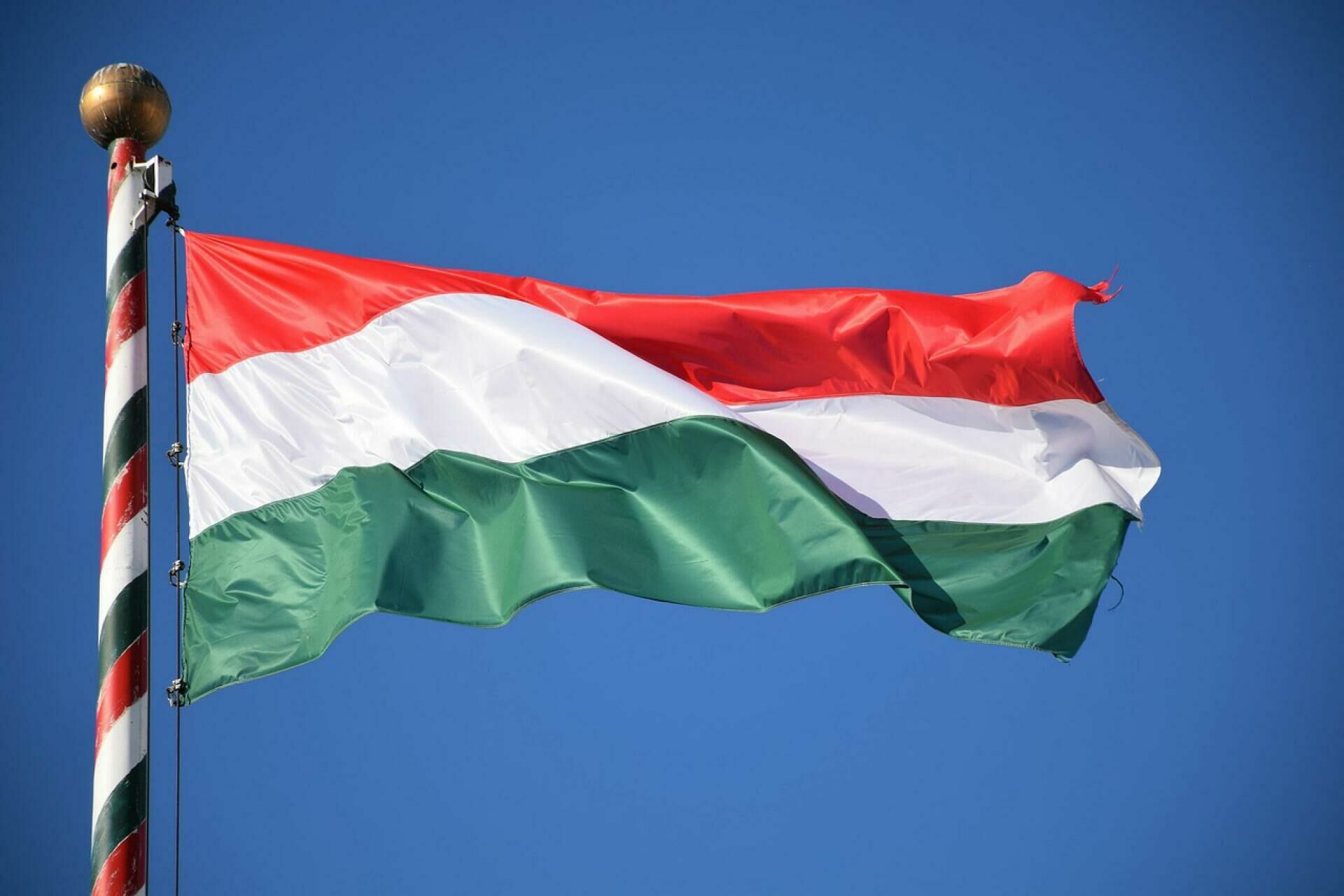 Венгрия воспротивилась подготовке украинских военных в Европе