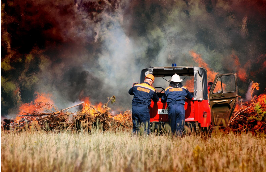 В России за последние 20 лет леса выгорело больше, чем в любой другой стране мира