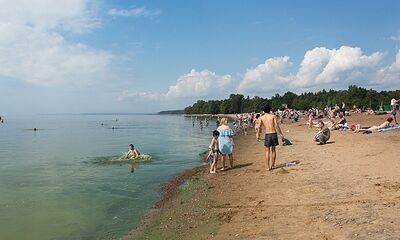 Балтийское море признали самым чистым в России