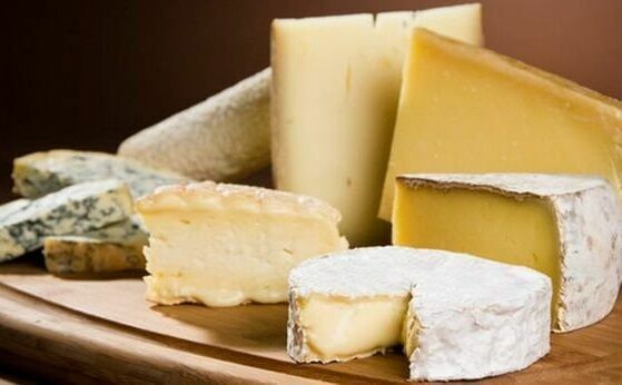 "Росконтроль" нашел 13 образцов поддельного сыра