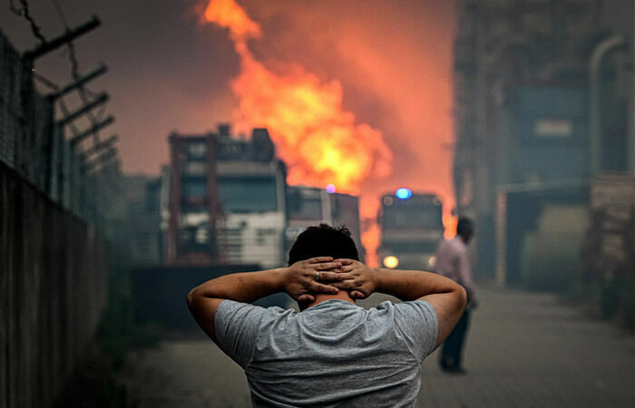 Politico: пять стран Европы задыхаются от аномальной жары и лесных пожаров