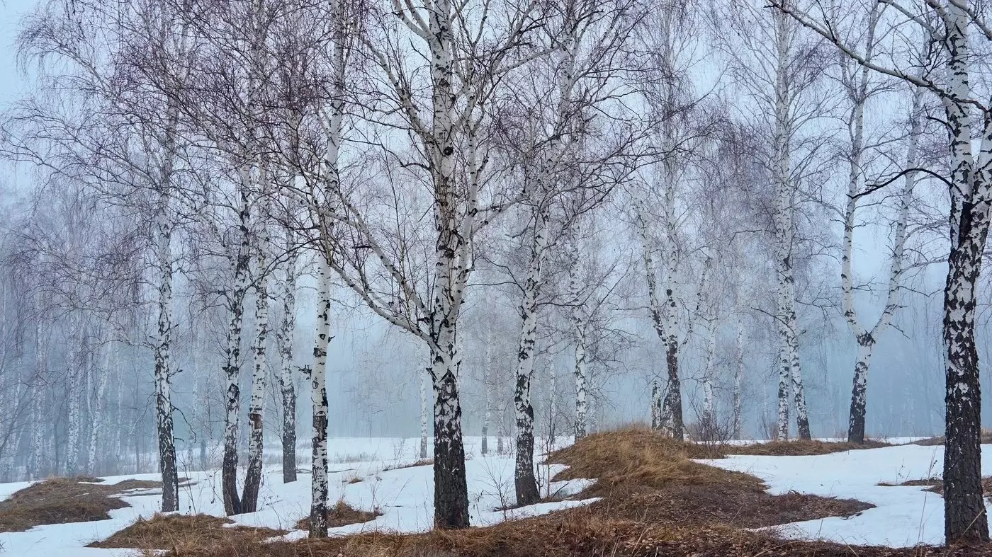 Март на зимний лад: погода в праздники порадует не все регионы России