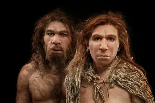 Недалеко ушли: лишь 1,5% генома отделяет нас от неандертальцев