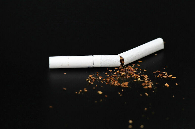 Россельхознадзор не опасается роста цен на табак на фоне новых правил ввоза