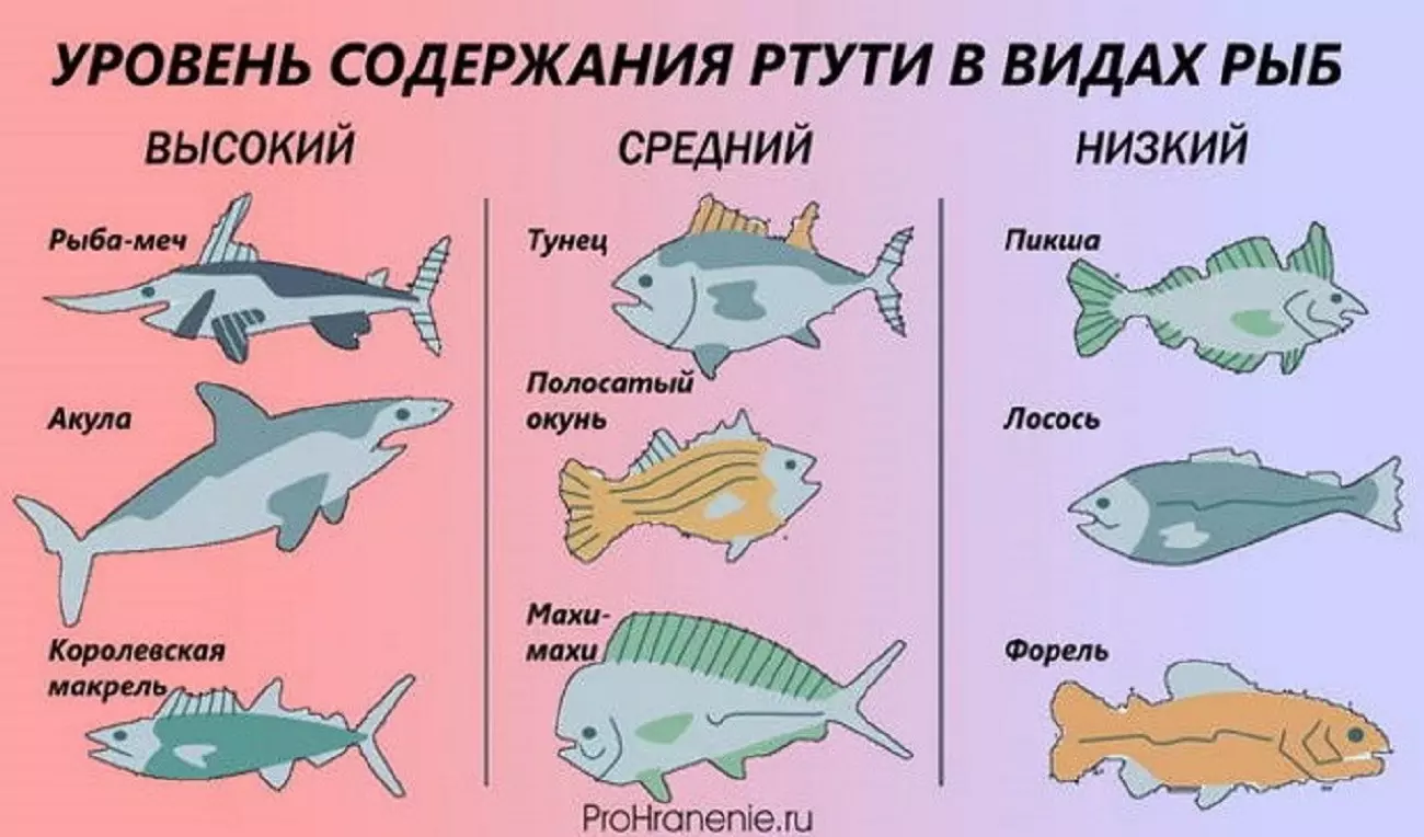 Уровень содержания ртути в разных видах рыб