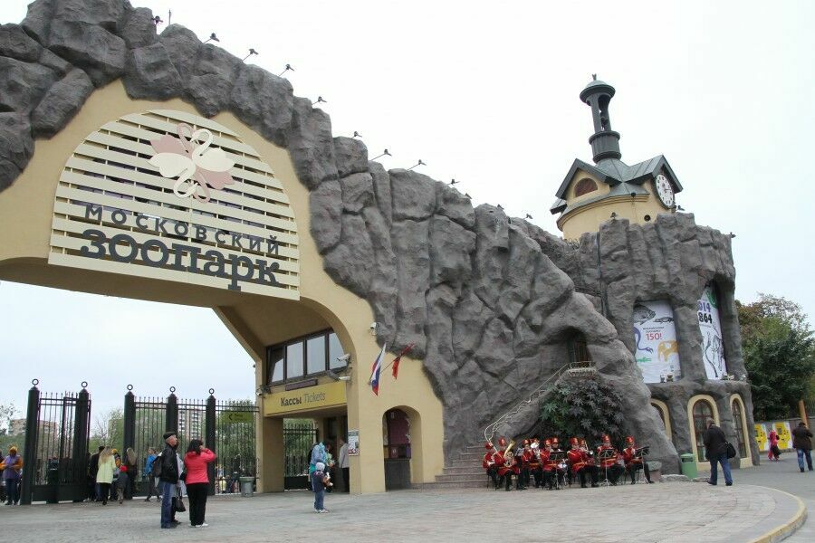Бодрое утро:  с 1 мая московский зоопарк будет работать с 7.30