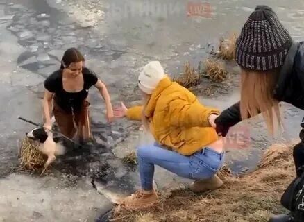 В Мытищах многодетная мать прыгнула в ледяной пруд, спасая собаку