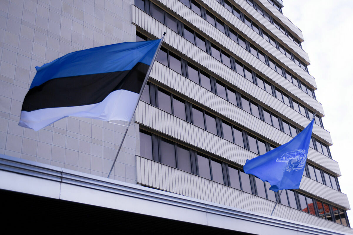 Эстонский МИД отказал в выдаче визы послу РФ