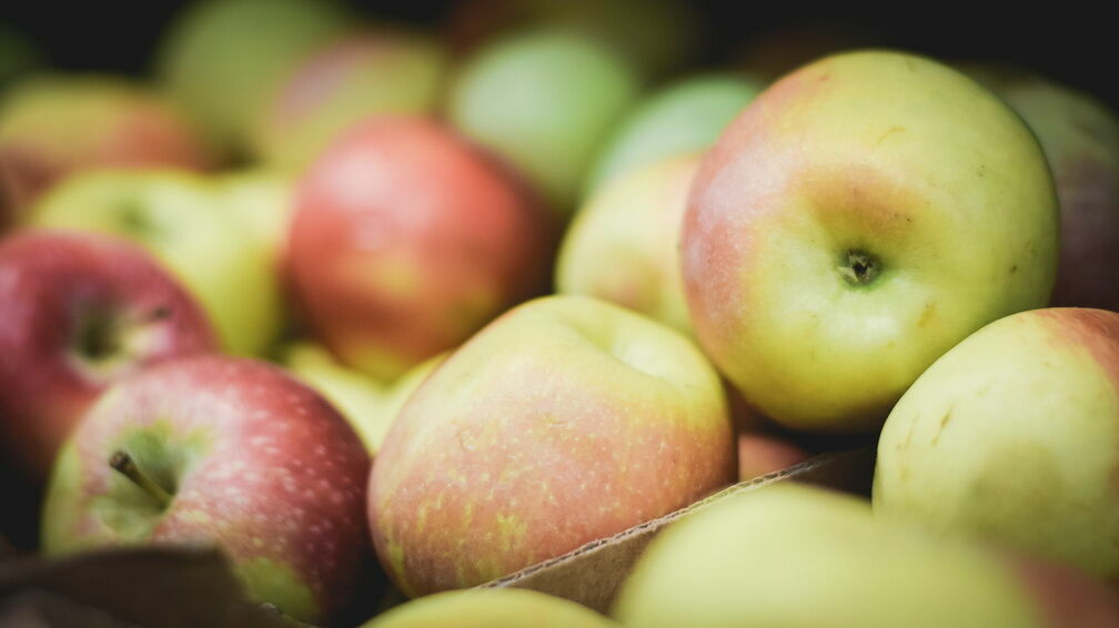 Экспорт яблок из Молдавии в Россию упал более чем на 50% в 2022 году