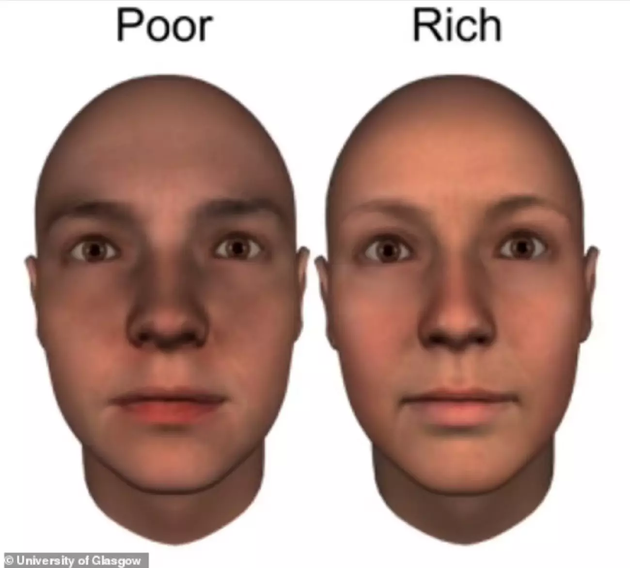 «Бедное» (слева) и «богатое» (справа) лицо