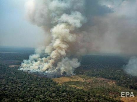 Бразильские власти заявили о контроле ситуации с пожарами в Амазонии