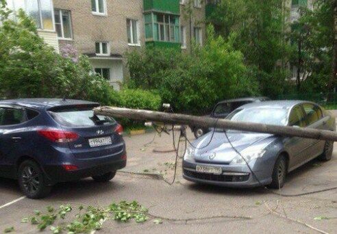 От урагана в Москве пострадали 168 человек, 146 из них в больницах