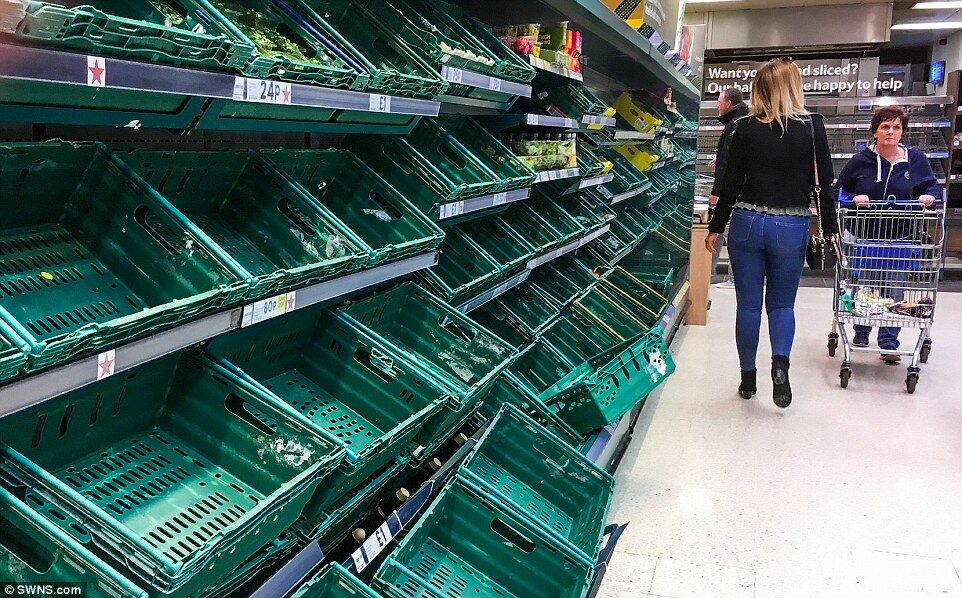 СМИ: Великобритания оказалась на грани продовольственного коллапса