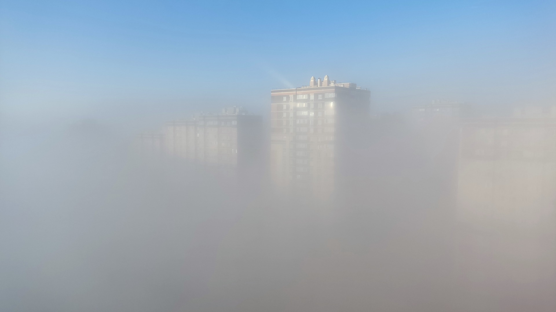 Осторожно, туман: в Москве объявили «желтый» уровень погодной опасности