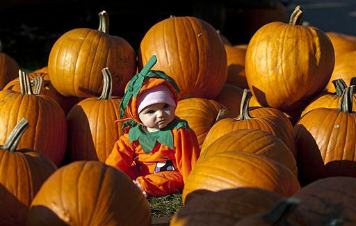 Дефицит тыкв может сорвать празднование Хэллоуина в Америке
