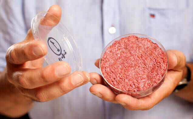 Пока не панацея: искусственное мясо не решит экологических проблем