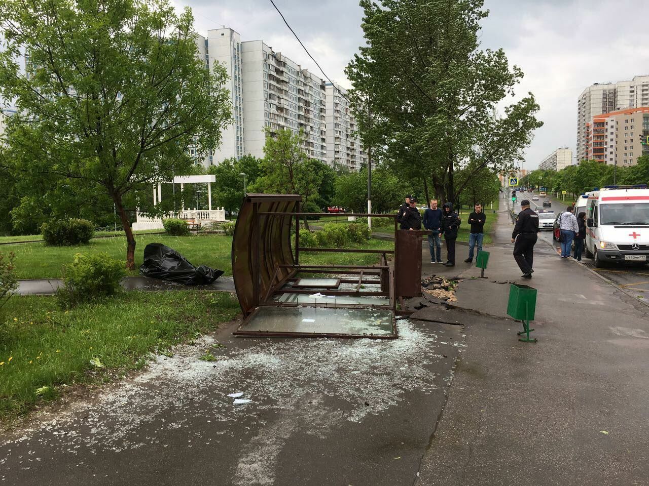 СК подтвердил гибель 15 человек из-за урагана в Москве и Подмосковье