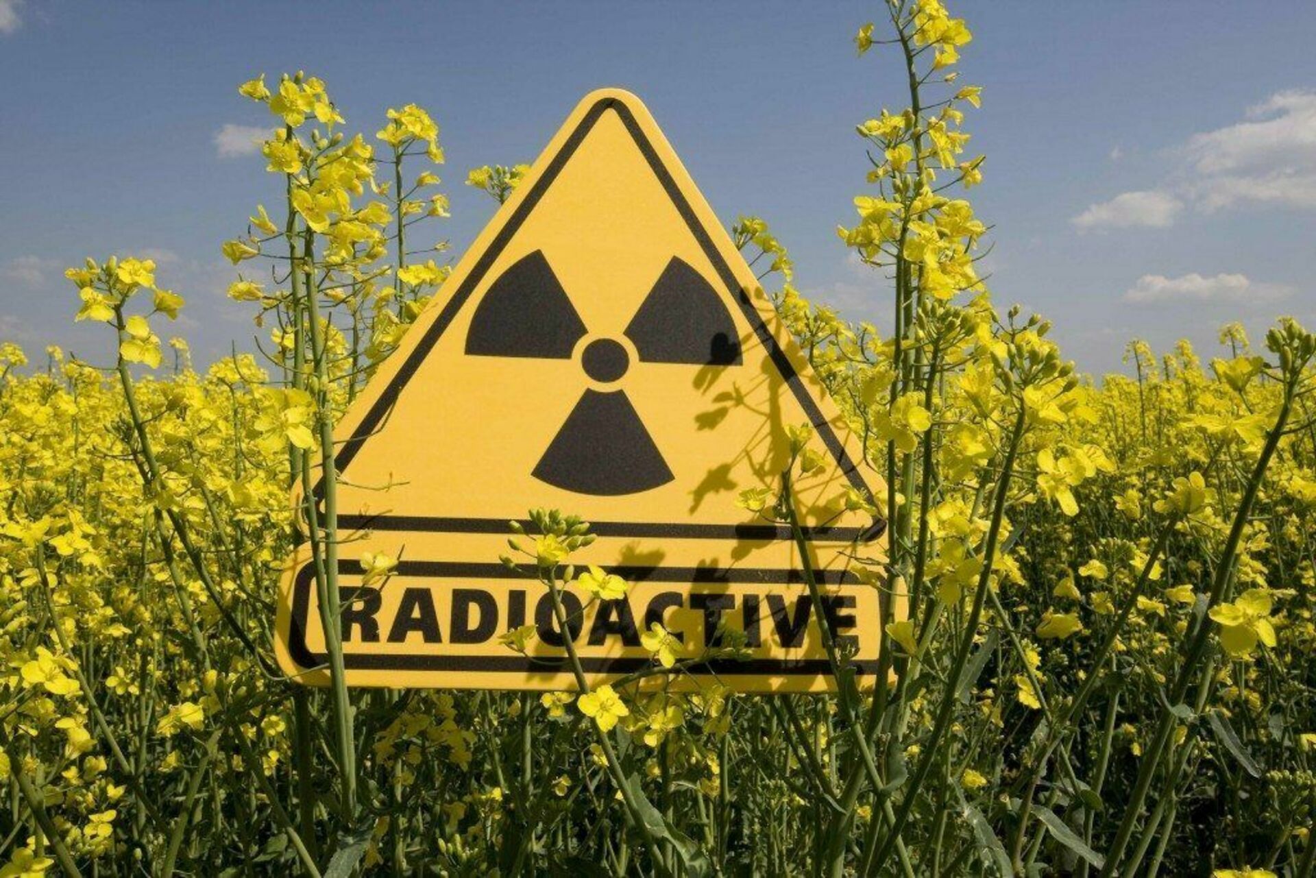 Загрязнено радиация. Радиация. Радиоактивное загрязнение. Радиационное загрязнение. Табличка радиация.