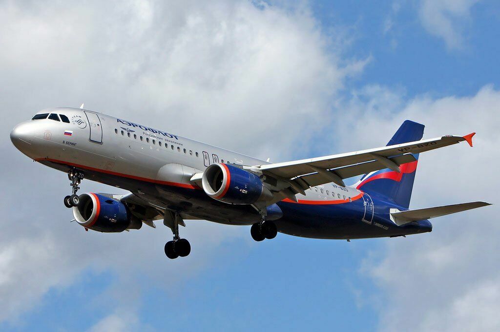 В Екатеринбурге самолет «Аэрофлота» столкнулся с птицами