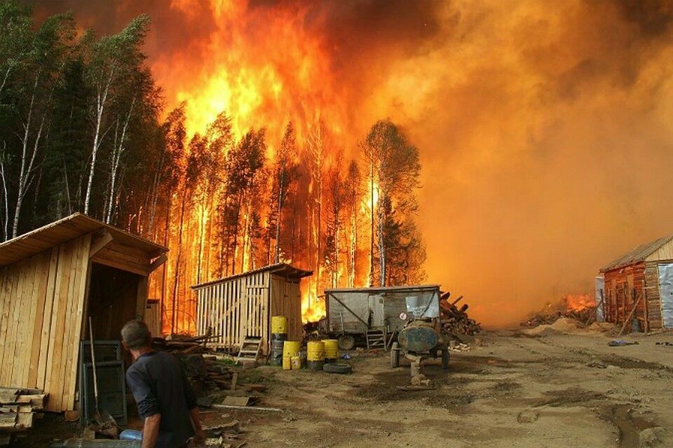 Сразу за наводнением в Сибирь пришли лесные пожары
