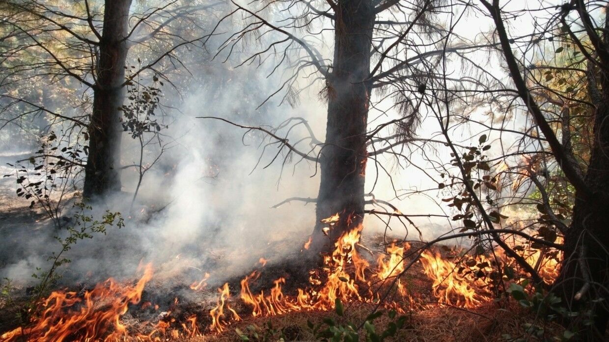 В Крыму объявили чрезвычайную пожароопасность