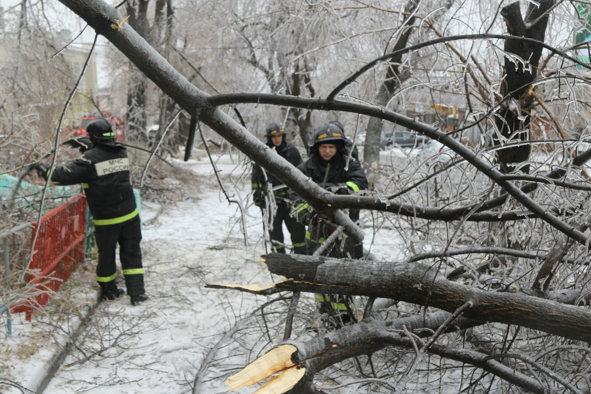 Ледяной дождь в Приморье заставил власти ввести режим ЧС