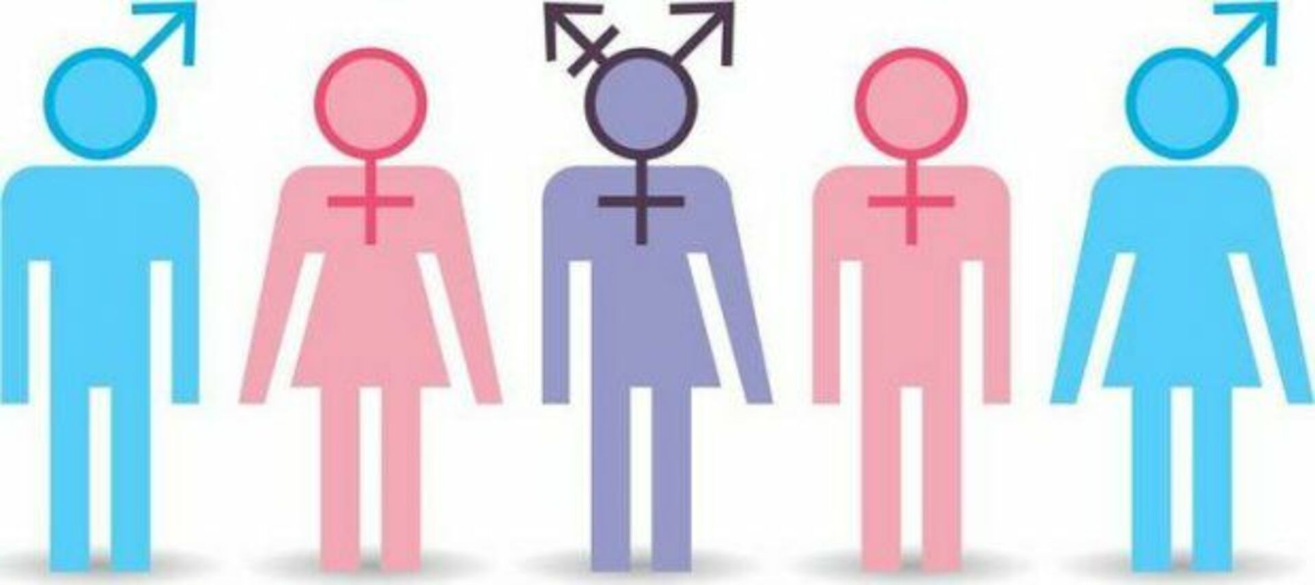 Дискриминация члена. Гендер. Пол мужской и женский. Ориентация и гендерная идентичность. Мужской и женский гендер.